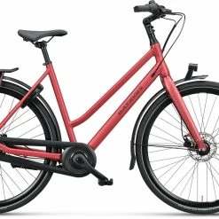 Batavus Dinsdag -Fahrräder Verkäufe batavus dinsdag trekking bike 2022 03