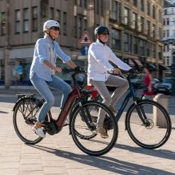Batavus Finez E-go® Power Exclusive -Fahrräder Verkäufe batavus finez e goi power exclusive 625wh elektro comfort city bike 2022 05