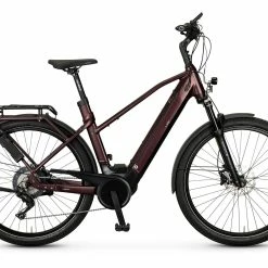 E-bike-manufaktur E-bike Manufaktur 13ZEHN