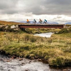 Focus Whistler 3.6 -Fahrräder Verkäufe focus whistler 3.6 mountain bike 2023 08