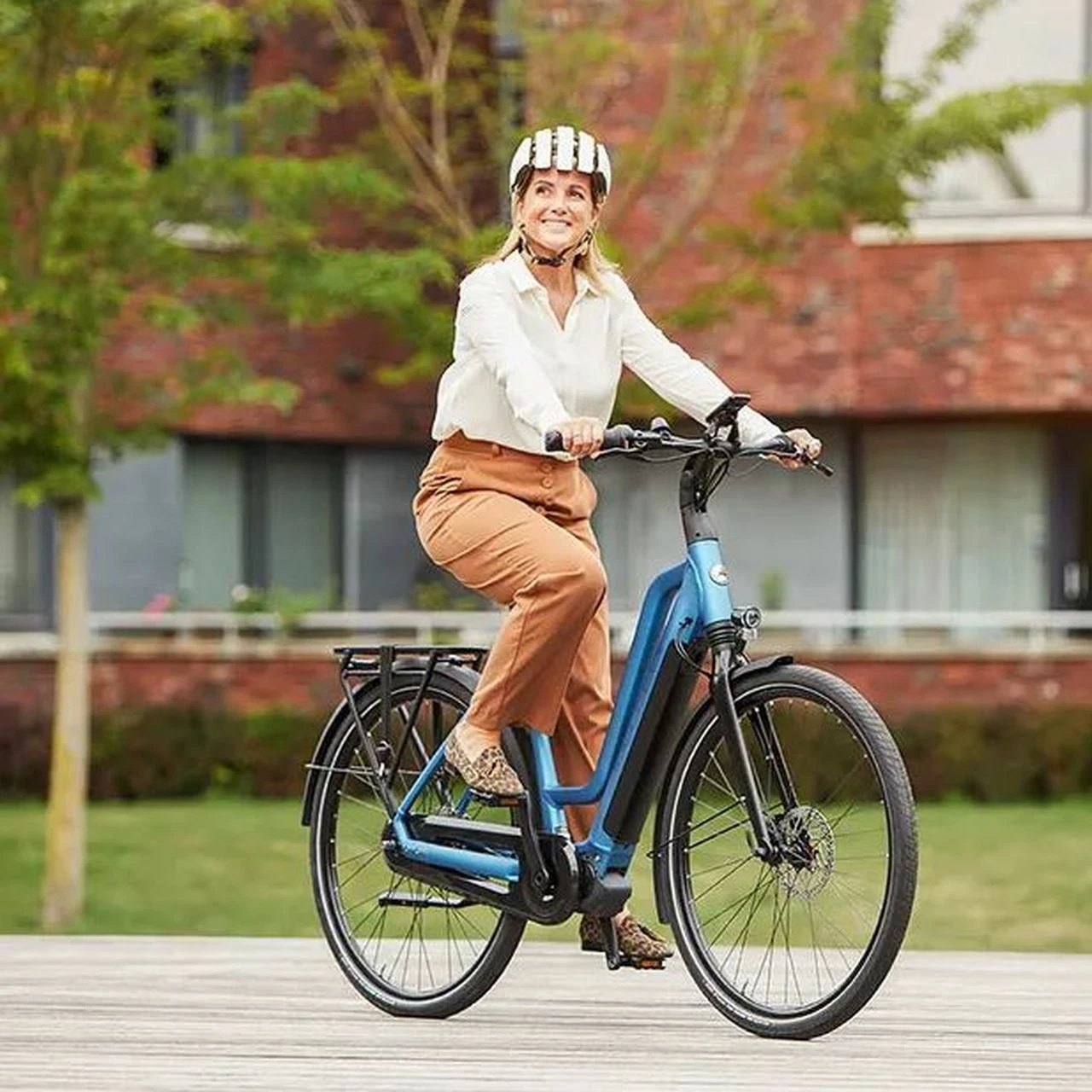 Gazelle Arroyo C8 HMB Elite 6 Gazelle Arroyo C8 HMB Elite – Bild 6