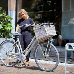 Gazelle Esprit T7 -Fahrräder Verkäufe gazelle esprit 7 g trekking bike 2022 2 12