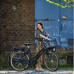 Gazelle Grenoble C7+ HMB 15 Gazelle Grenoble C7+ HMB -Fahrräder Verkäufe gazelle grenoble c7 hmb elektro trekking bike 2022 10