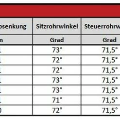 Vsf-fahrradmanufaktur Vsf Fahrradmanufaktur T-300 Shimano -Fahrräder Verkäufe geometrie2