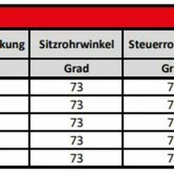 Kreidler Vitality Eco 10 Sport 625Wh -Fahrräder Verkäufe geometrie20
