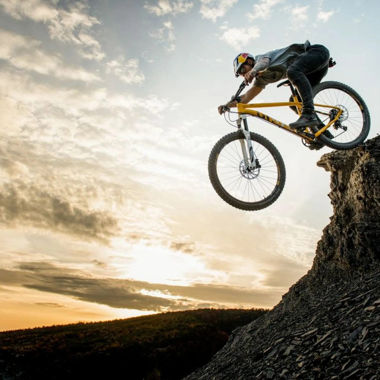 Ghost Lector FS SF LC Universal 4 Ghost Lector FS SF LC Universal – Bild 4