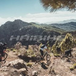 Haibike AllMtn 3 -Fahrräder Verkäufe haibike allmtn 3 elektro fullsuspension mountain bike 2022 041