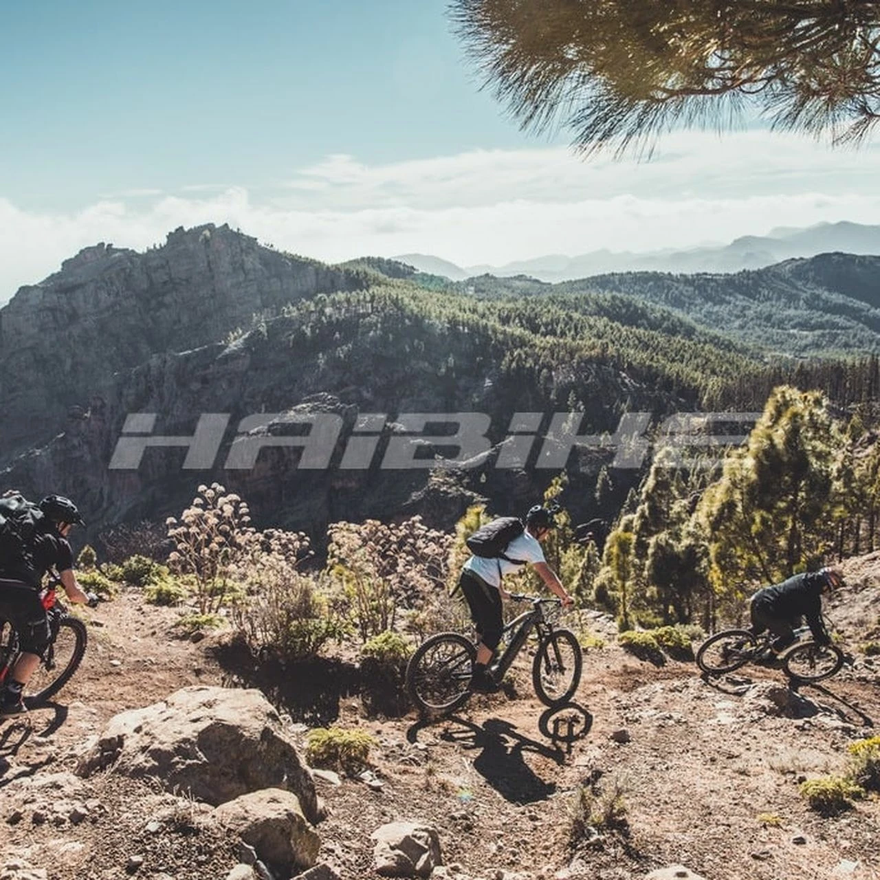 Haibike AllTrail 9 27.5R 3 Haibike AllTrail 9 27.5R – Bild 3