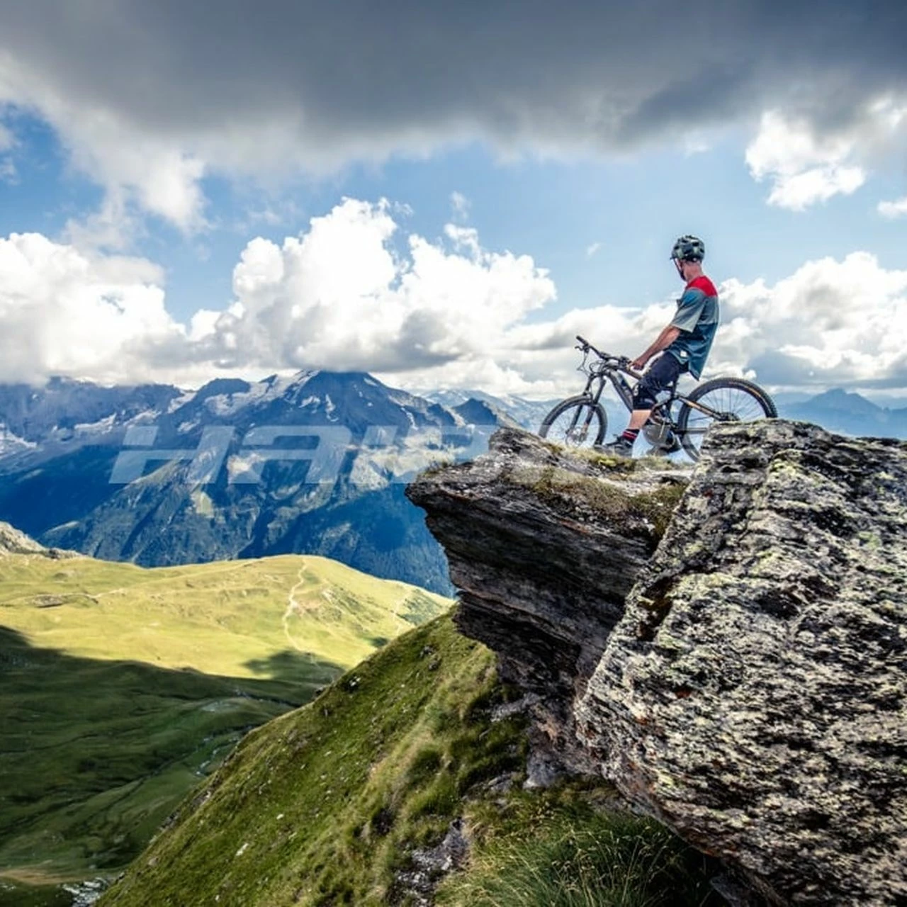 Haibike AllTrail 5 29R 4 Haibike AllTrail 5 29R – Bild 4