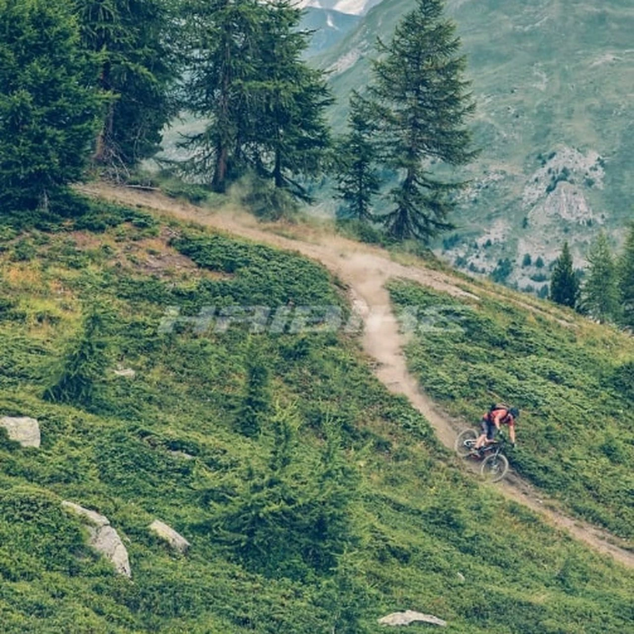 Haibike AllTrail 8 29R 4 Haibike AllTrail 8 29R – Bild 4