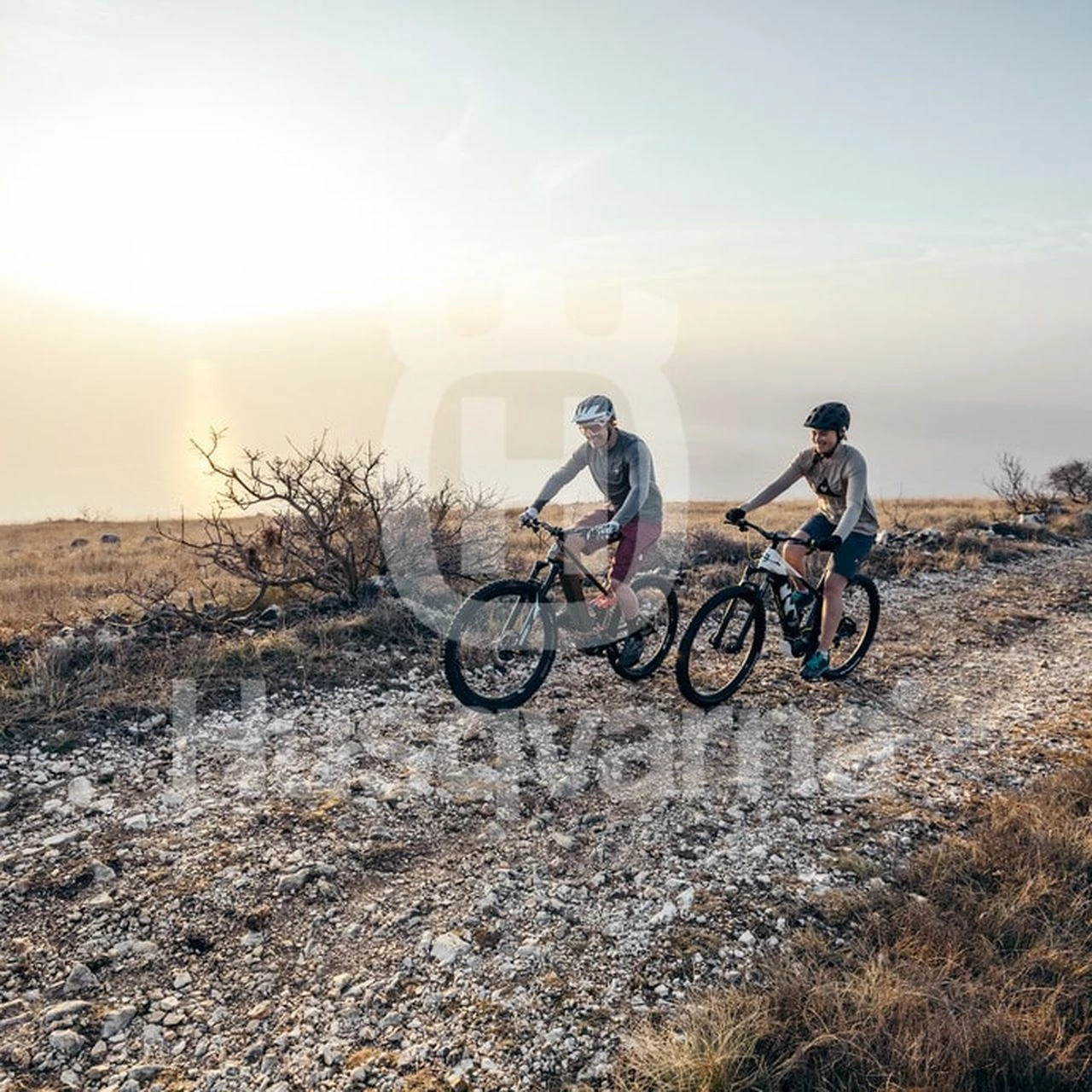 Husqvarna Light Cross LC1 3 Husqvarna Light Cross LC1 – Bild 3