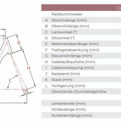 Raleigh Corby 8 6 Raleigh Corby 8 -Fahrräder Verkäufe raleigh corby 8 elektro fahrrad 2021 031