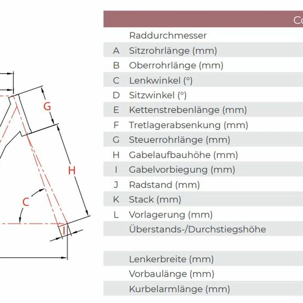 Raleigh Corby 8 3 Raleigh Corby 8 – Bild 3