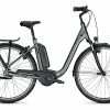 Raleigh Kingston 8 Bosch Elektro Fahrrad 2021