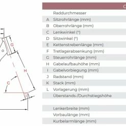 Raleigh Kingston 8 Bosch Elektro Fahrrad 2021 -Fahrräder Verkäufe raleigh kingston 8 elektro fahrrad 2021 03