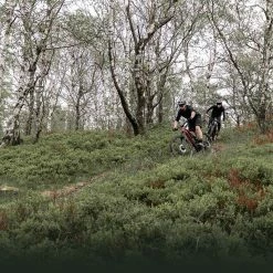 Rotwild R.X375 FS Pro -Fahrräder Verkäufe rotwild r.x375 pro elektro fullsuspension mountain bike 2022 04