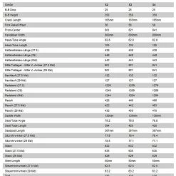 Specialized Demo Race -Fahrräder Verkäufe specializeddemoracefullsuspensionmoutainbike2022 3