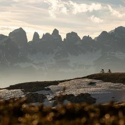 Specialized Epic Evo Comp Carbon -Fahrräder Verkäufe specializedepicevocompcarbon29rfullsuspensionmoutainbike2022 6