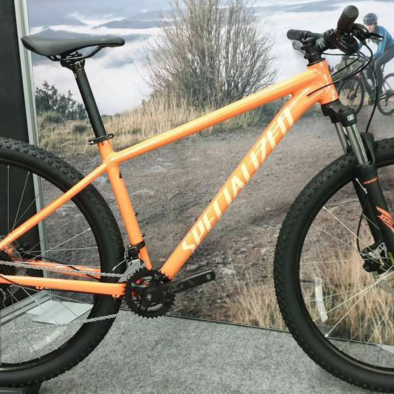 Specialized Rockhopper Sport 2 Specialized Rockhopper Sport – Bild 2