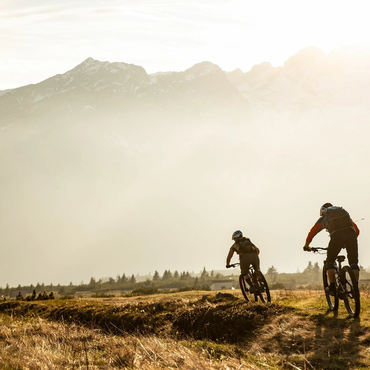 Specialized Turbo Creo SL E5 Comp 5 Specialized Turbo Creo SL E5 Comp – Bild 5