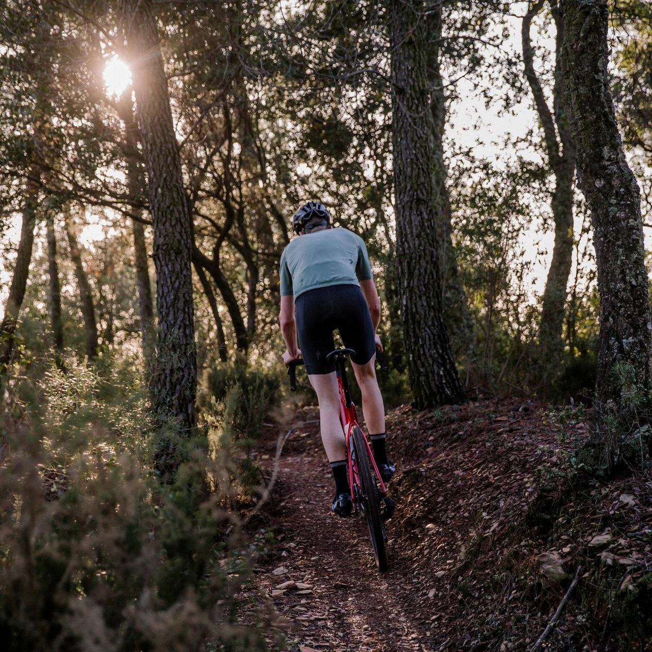 Specialized Turbo Levo SL Expert Carbon SRAM X01 FSR 29R 320Wh Elektro Fahrrad 5 Specialized Turbo Levo SL Expert Carbon SRAM X01 FSR 29R 320Wh Elektro Fahrrad – Bild 5