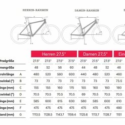 Winora Sinus IX10 -Fahrräder Verkäufe winora sinus ix10 elektro fahrrad 2021 04