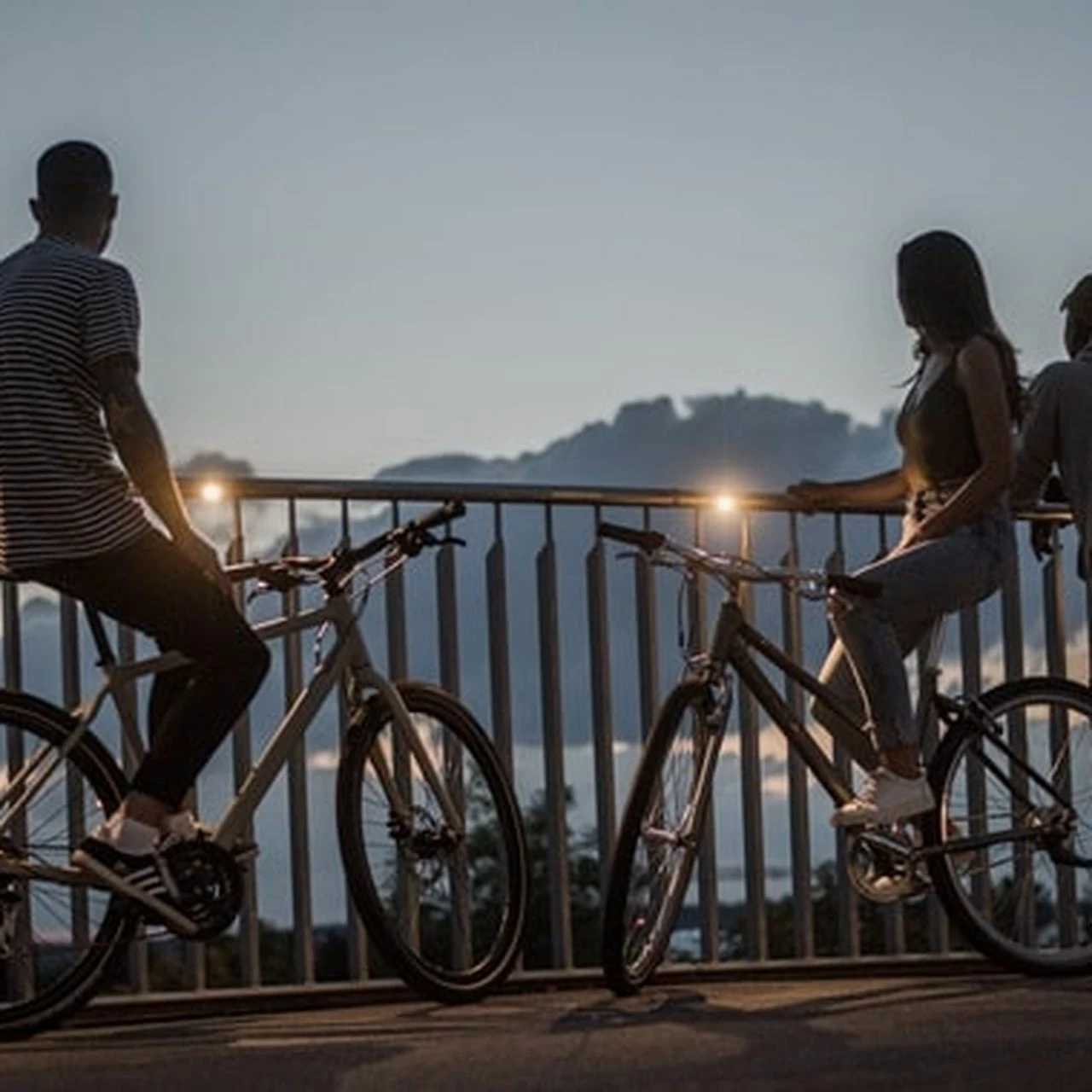 Winora Tria N8f Eco 3 Winora Tria N8f Eco – Bild 3