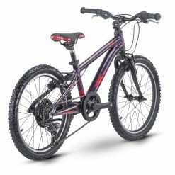 R-raymon R Raymon TwoRay 1.0 12 R-raymon R Raymon TwoRay 1.0 -Fahrräder Verkäufe R20Raymon tworay 1.0 kinder fahrrad 2021 03