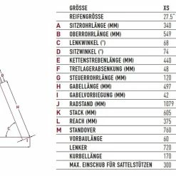 Focus Whistler 3.8 -Fahrräder Verkäufe focus whistler 3.8 mountain bike 2022 09