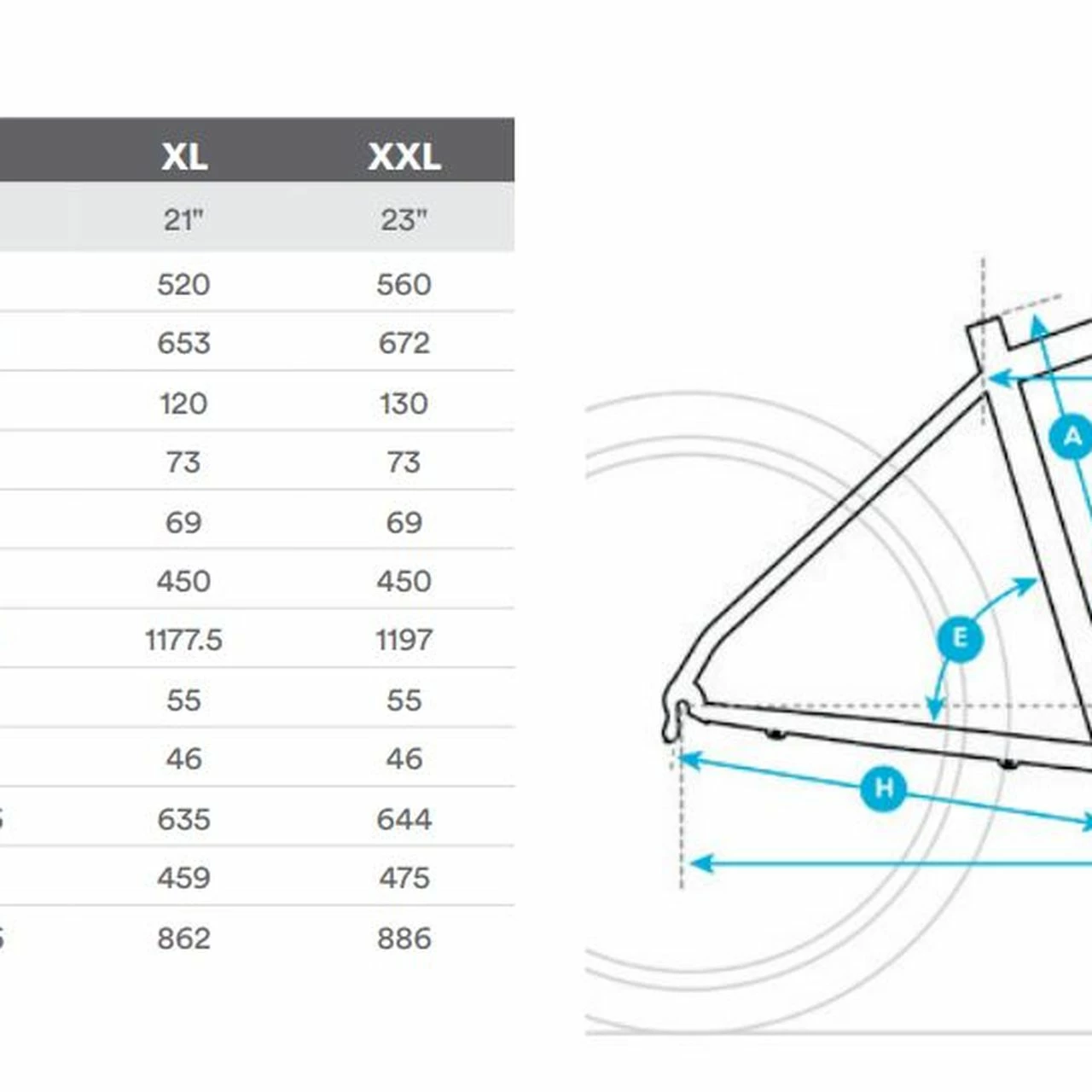 Fuji Nevada 2.0 LTD 3 Fuji Nevada 2.0 LTD – Bild 3