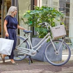 Gazelle Esprit RT7 13 Gazelle Esprit RT7 -Fahrräder Verkäufe gazelle esprit r 7 g trekking bike 2022 2 10