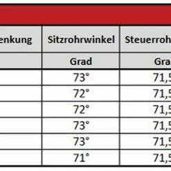 Vsf-fahrradmanufaktur Vsf Fahrradmanufaktur T-100 -Fahrräder Verkäufe geometrie3