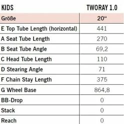 R-raymon R Raymon TwoRay 1.0 19 R-raymon R Raymon TwoRay 1.0 -Fahrräder Verkäufe rraymon tworay 1.0 kinder fahrrad 2021 10