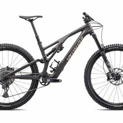 Specialized Stumpjumper Evo Comp