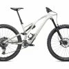 Specialized Stumpjumper Evo Expert 29R