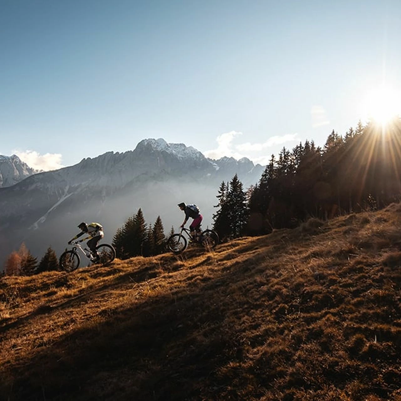 Specialized Allez Elite 5 Specialized Allez Elite – Bild 5