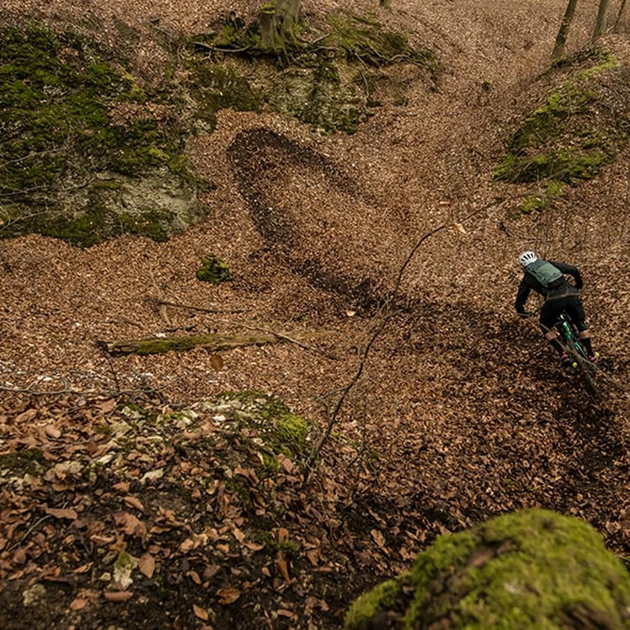 Specialized Rockhopper Comp 8 Specialized Rockhopper Comp – Bild 8