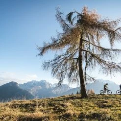 Specialized Rockhopper Expert -Fahrräder Verkäufe specializedrockhopperexpert29rmountainbike2022 7